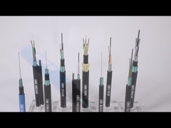 De inhoud van de inventaris omvat het aantal, de kwaliteit en de werkbelasting van R&D-personeel, R&D-expendi